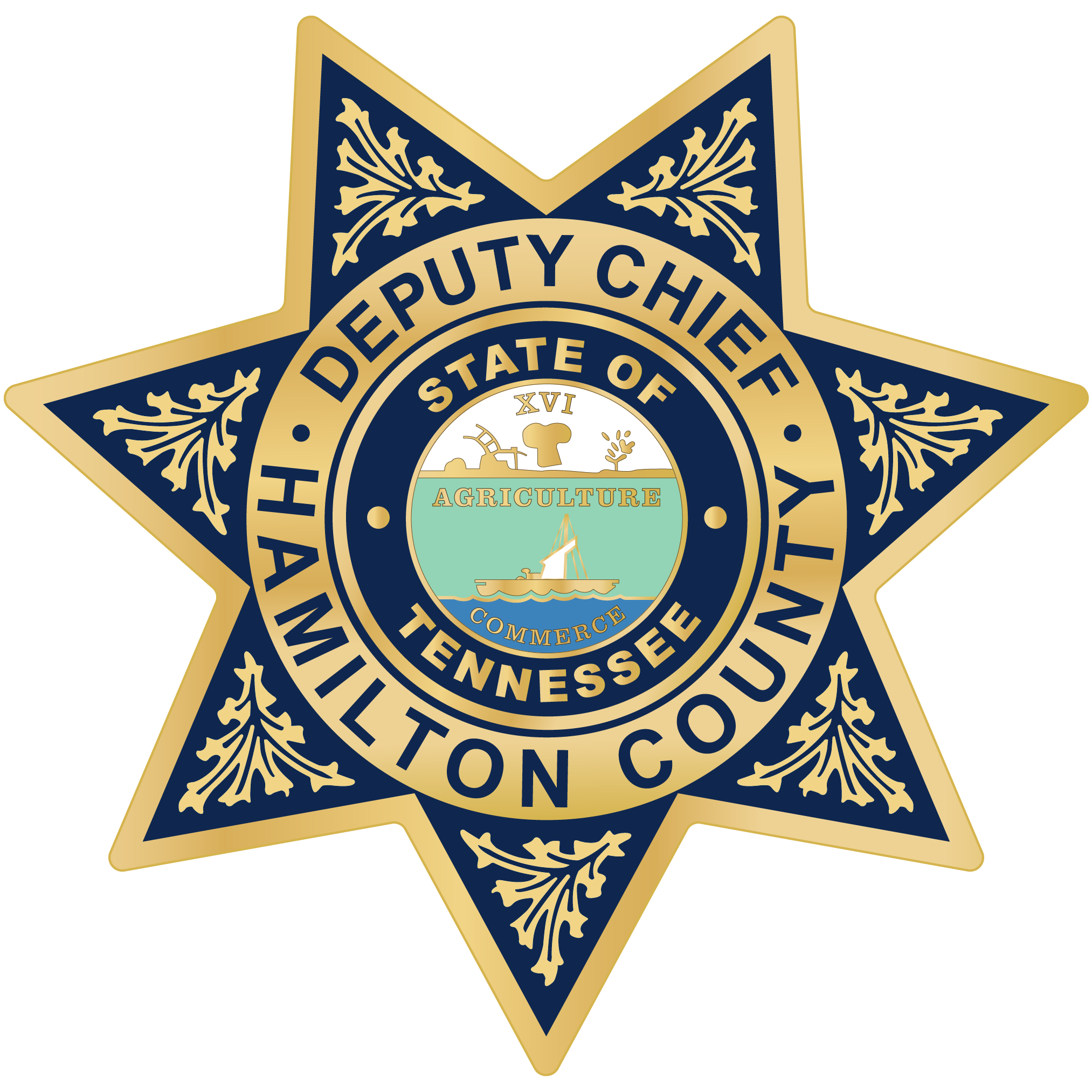 Hamilton County Deputy Chief Sheriff's Badge