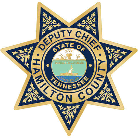 Hamilton County Deputy Chief Sheriff's Badge