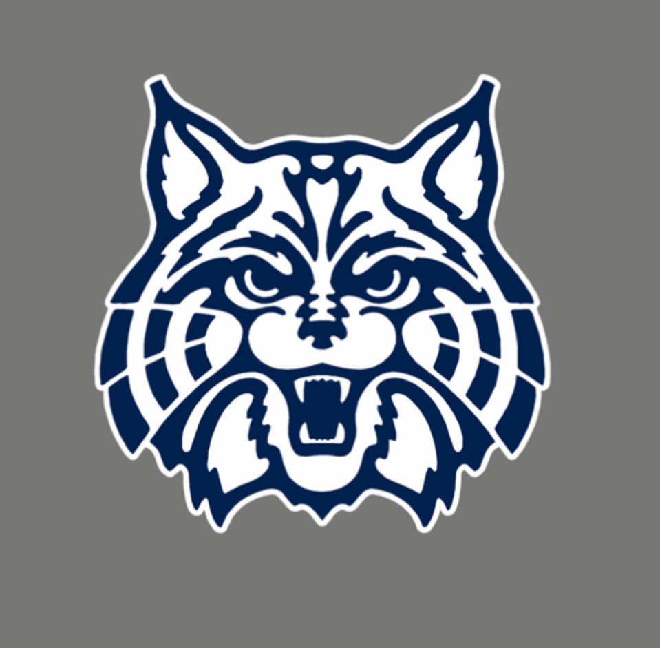 Wildcats Custom Wood Logo
