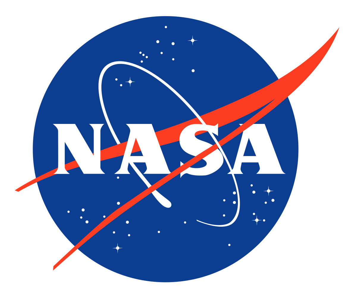 Nasa Wood Logo
