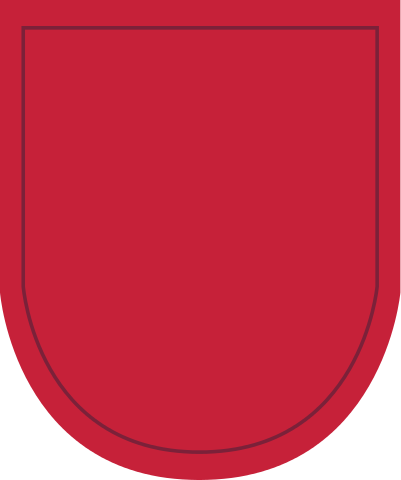 10th Special Forces Group Wood Flash