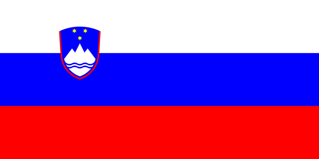 Slovenia Wood Flag