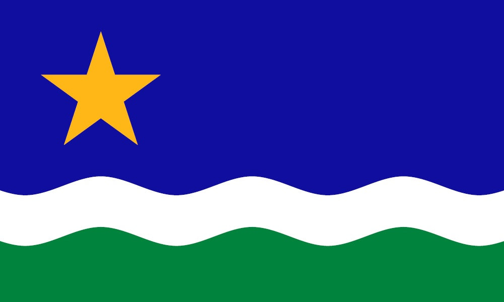 Minnesota North Star Flag