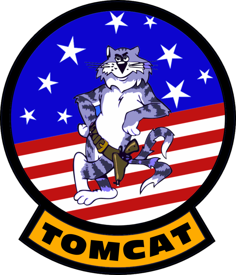 F-14 Tomcat Wood Patch