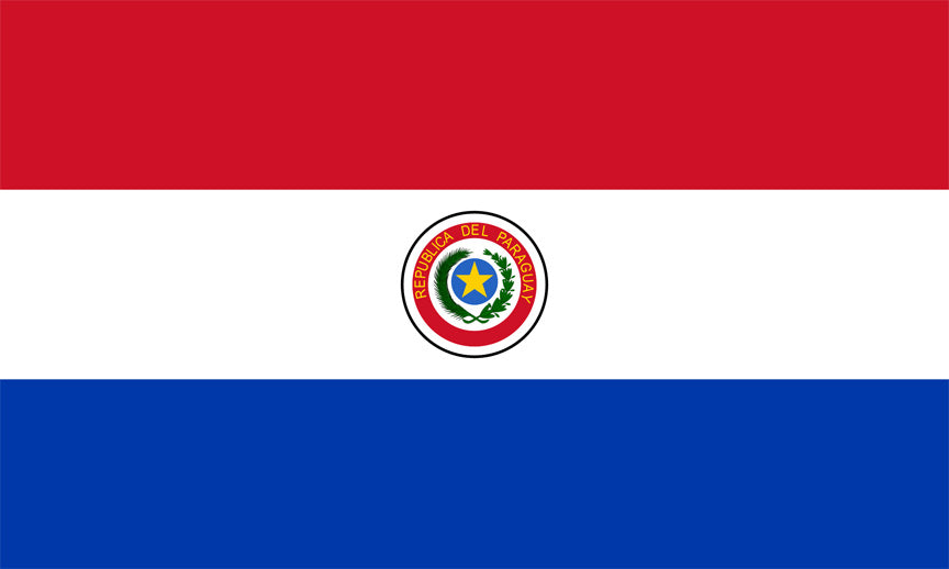 Paraguay Wood Flag