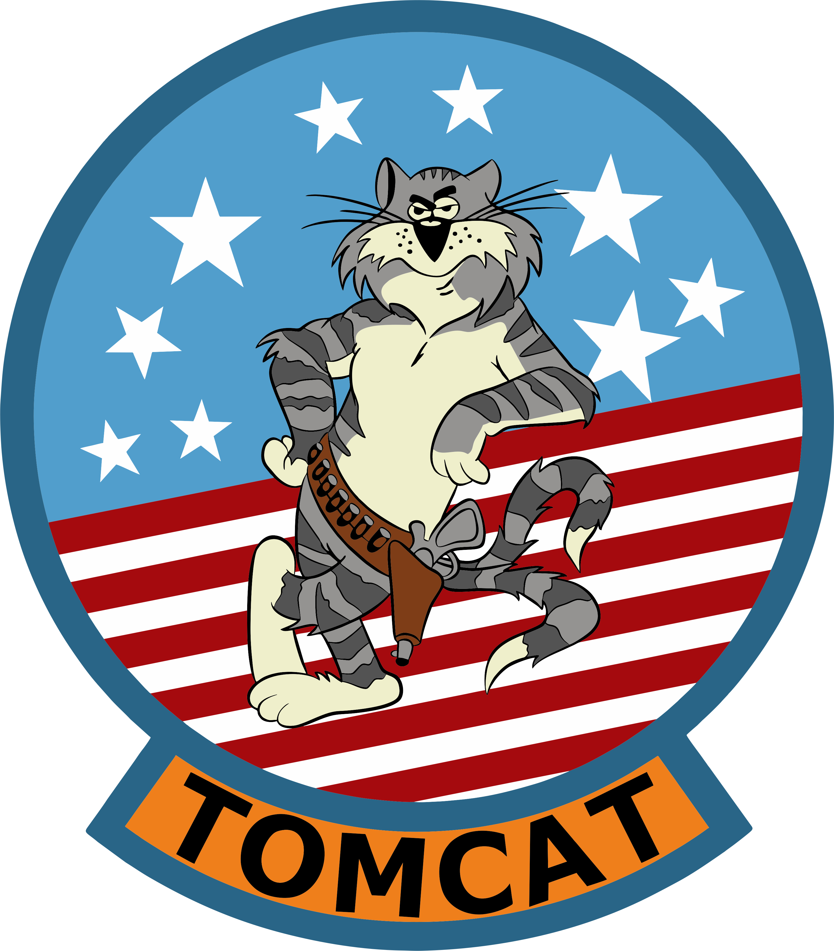 F-14 Tomcat Wood Patch