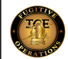 ICE Tampa Fugitive Operations Emblem