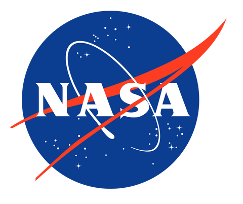 Nasa Wood Logo