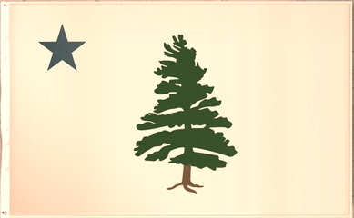 Maine Original State Wood Flag