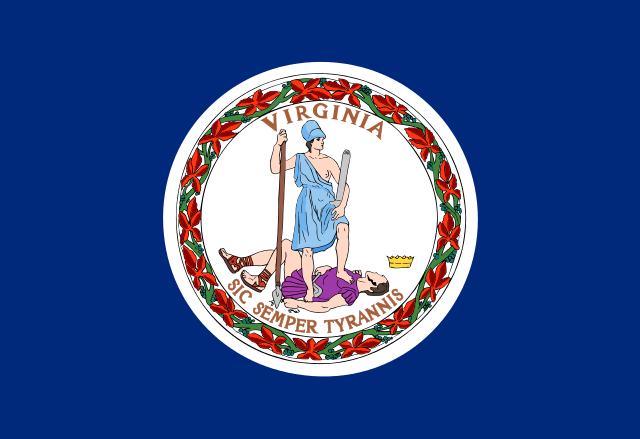 Virginia Vintage Wood Flag
