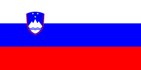 Slovenia Wood Flag