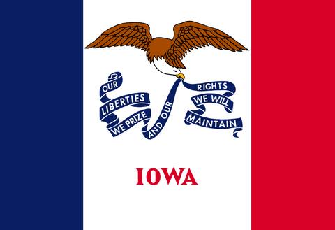 Iowa Vintage Wood Flag