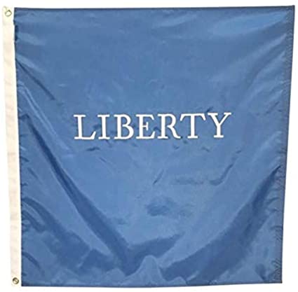 Schenectady Liberty Wood Flag