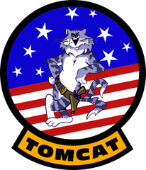 F-14 Tomcat Wood Patch