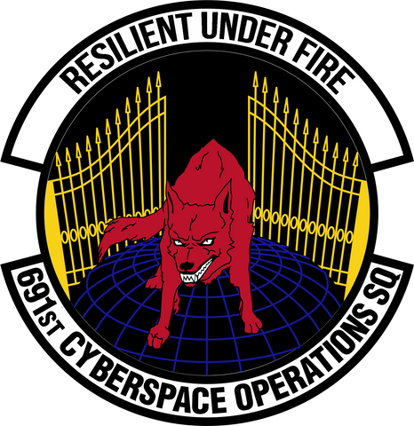 691st Cyberspace Operations Squadron
