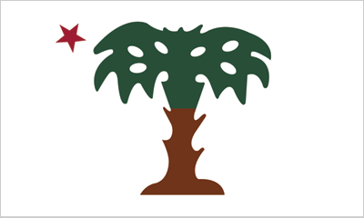 Palmetto Guard Wood Flag